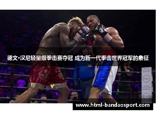 德文·汉尼轻量级拳击赛夺冠 成为新一代拳击世界冠军的象征